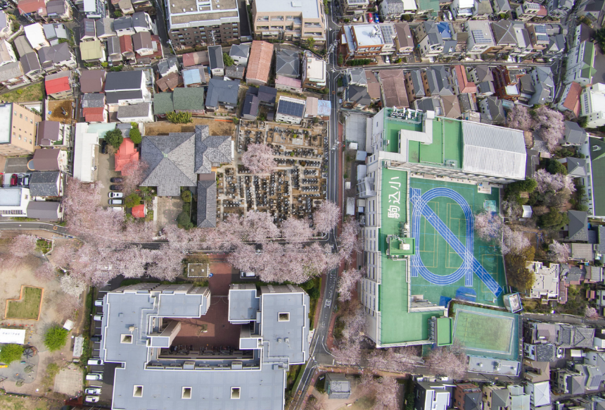 航空写真　ソメイヨシノ発祥の地　西福寺の周辺